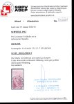 Stamp of Switzerland / Schweiz » Pro Juventute 1913, Pro Juventute Vorläufer italienisch