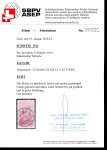 Stamp of Switzerland / Schweiz » Pro Juventute 1912, Pro Juventute Vorläufer italienisch