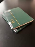 Stamp of Russia » Russia / Soviet Union Collections and Lots 1992-1994, in two stockbooks nice overprinted issues