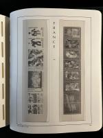 Stamp of France » Collections 1960-1995, dans deux belles reliures Leuchtturm collection