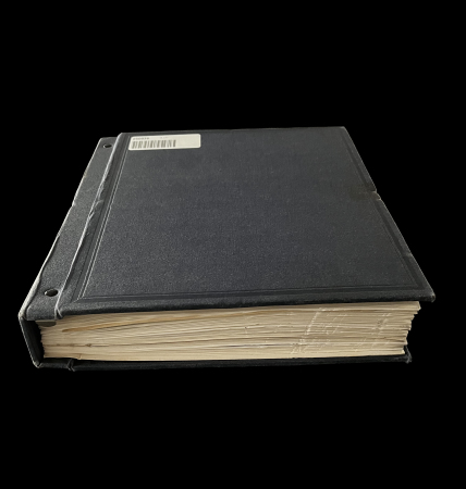 Stamp of Ireland » Revenues & Fiscals » Embossed Stamp Duty 1811-1838 General Duty: Old-time attractive collection of 109 documents or fragments, all mounted on album pages, some being knowledgeable written up in pencil, with Schonfeld reference numbers noted on most items, showi