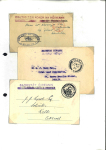 Stamp of Ireland » Political & Transitional Periods » Official Paid Markings 1919-1928 Attractive and specialised collection of