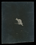 Stamp of Australia » Commonwealth of Australia Australia 1913 Kangaroo, group of eleven Sperati items, eight on glass