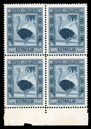Stamp of Italy » Italian Colonies and Possessions » Somalia 1935 : slate ostrich 2l55 Sassone n° 226 in block of