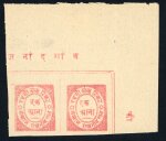 Stamp of Indian States » Nandgaon 1893-94 A lot of 1a Rose (SG6ba) stamps printed close