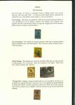 Stamp of Turkey » Collections Turkey First issues specialised collection