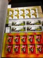 Stamp of Large Lots and Collections Eastern Europe : 1992-2014, in eight stockbooks nice