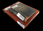 Stamp of Argentina » Collections, Lots etc. 1858-1966, in a stockbook very nice and extensive mint