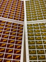 Stamp of Ireland » Definitives 1968-1982 Gerls: