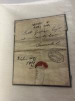 Stamp of Ireland » Postal History (Arranged alphabetically by County) Dublin - Penny Post: 1818-1842 Attractive assembly