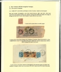 Stamp of Indian States » Jammu & Kashmir 1867-1868 An outstanding and highly specialized assembly