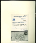 Stamp of Indian States » Jammu & Kashmir 1867-1868 An outstanding and highly specialized assembly