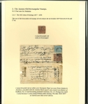 Stamp of Indian States » Jammu & Kashmir 1867-1868 An outstanding and highly specialized assembly