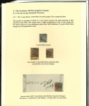 Stamp of Indian States » Jammu & Kashmir 1867-77 Jammu & Kashmir – Rectangular Issues: Specialized