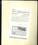 Stamp of Indian States » Jammu & Kashmir 1878-94 New Rectangular Issues: Specialized Collection