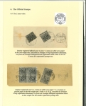 Stamp of Indian States » Jammu & Kashmir 1878-89 Official Issues: Highly Specialized Collection