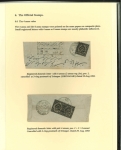 Stamp of Indian States » Jammu & Kashmir 1878-89 Official Issues: Highly Specialized Collection