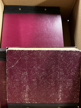 Stamp of British Empire General Collections and Lots 1854-1977, Collection of British Africa, Asia & America, mostly used in 5 old-time Galathovics albums