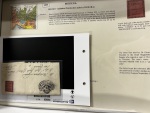 Stamp of Italian States » Tuscany Modena Disinfected Mail