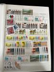 Stamp of Large Lots and Collections Eastern Europe : 1992-2010, in two stockbokks mint