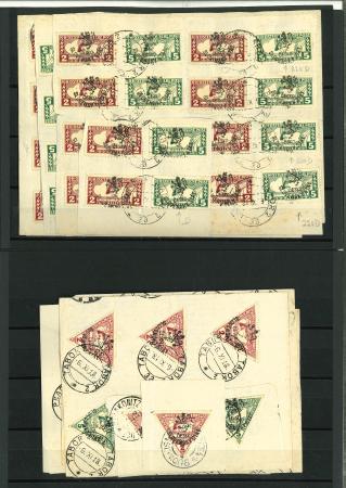 Stamp of Czechoslovakia 1918, Revolution ovpts Budejovicke vydani, large duplication