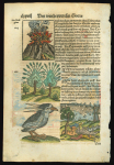 c1550 Original antique book leaf featuring a hand-coloured woodcut map of Cyprus