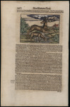 1578 MÜNSTER, Sebastian (1488–1552). Descriptio Cypri. Original coloured woodcut map of Cyprus from the German edition of Cosmographia Universalis