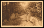 1931 Matched pair of picture postcards to Ghent (Gand), Belgium, each franked with a bisected KGV 1pi violet and red. On one card the bisect was accepted as valid postage, while on the other it was rejected, receiving a 
