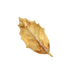 Broche GRIMA