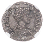 Roman Empire,  Geta, 209-211, Denarius (20 mm).NGC XF