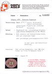 1870, Internationales Hilfscomité für Kriegsgefangene